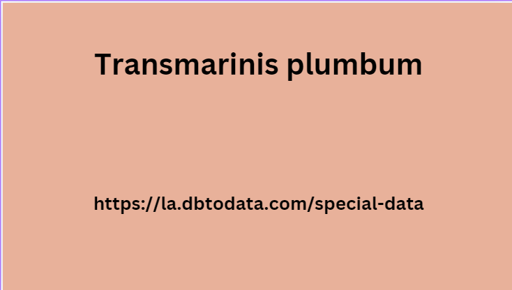 Transmarinis plumbum